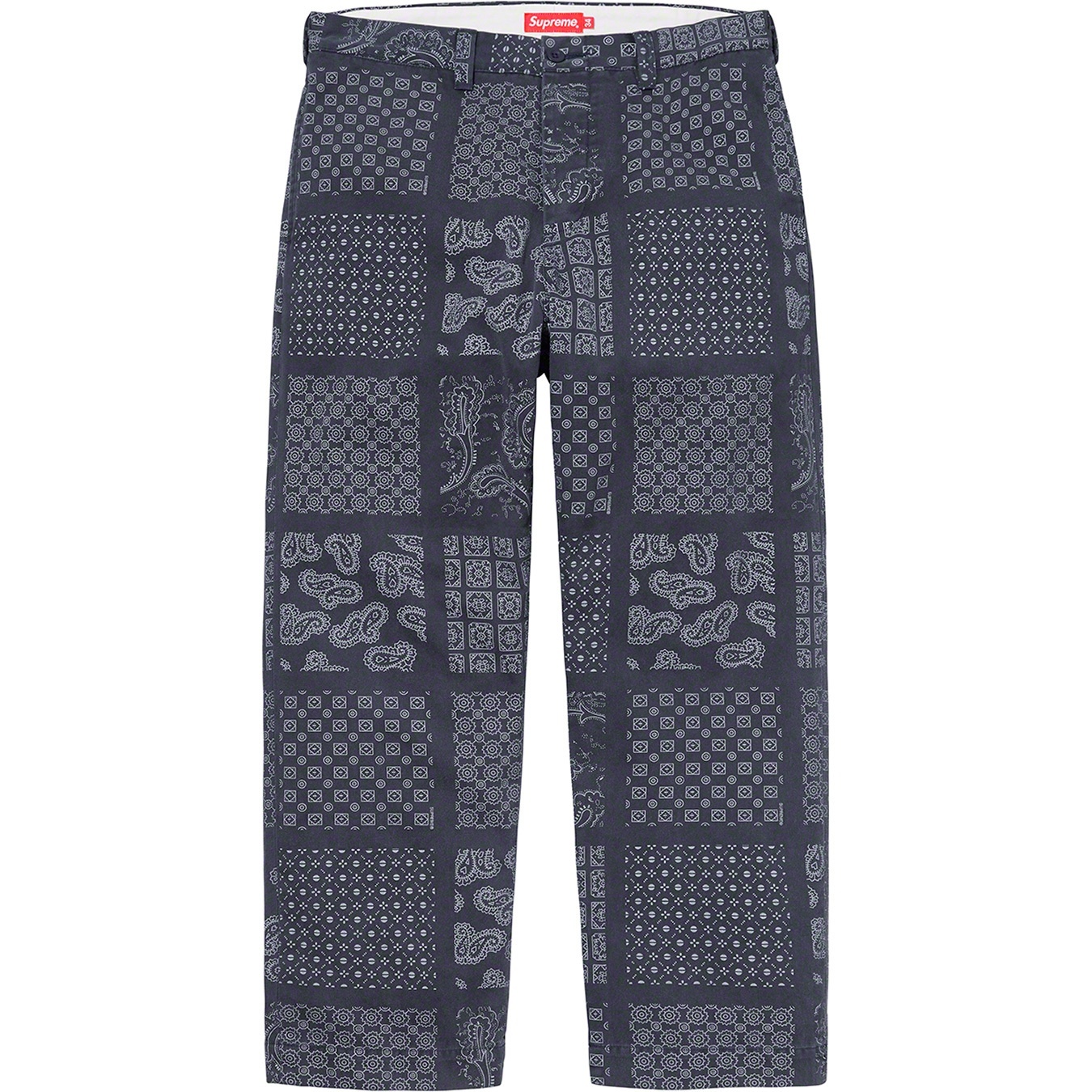 Paisley Grid Chino Pant view 12